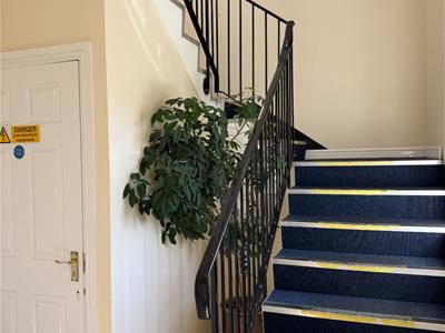 Picture 12